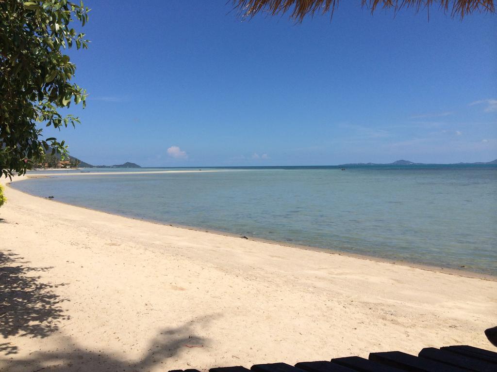 The Blue Parrot Hotell Koh Phangan Exteriör bild