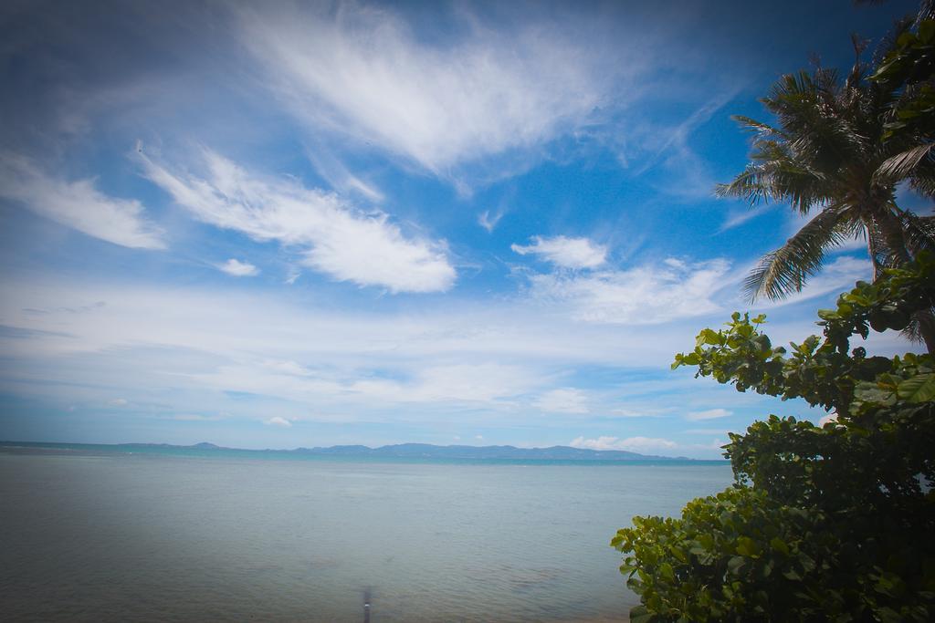 The Blue Parrot Hotell Koh Phangan Exteriör bild